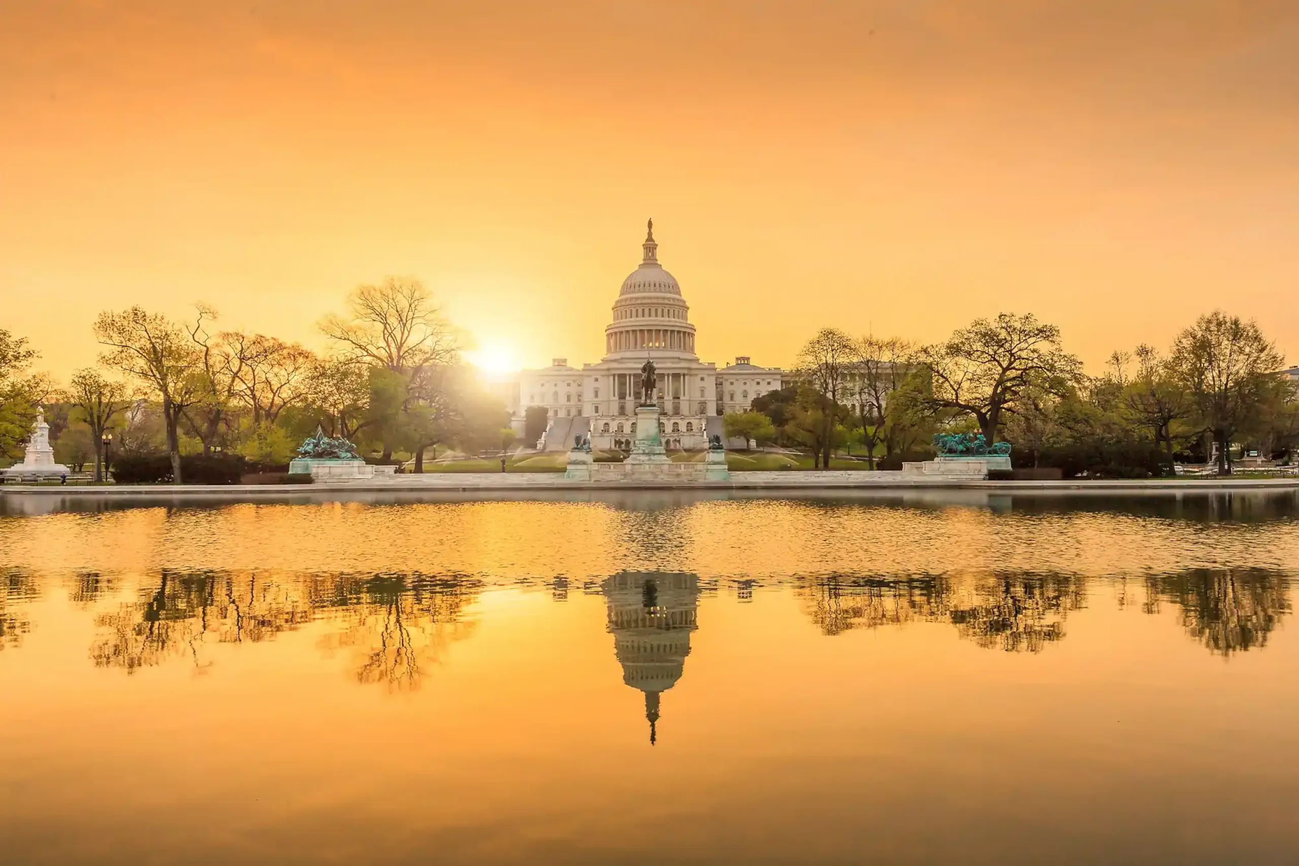 Washington DC