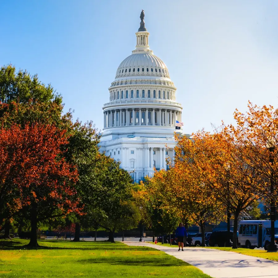Washington DC